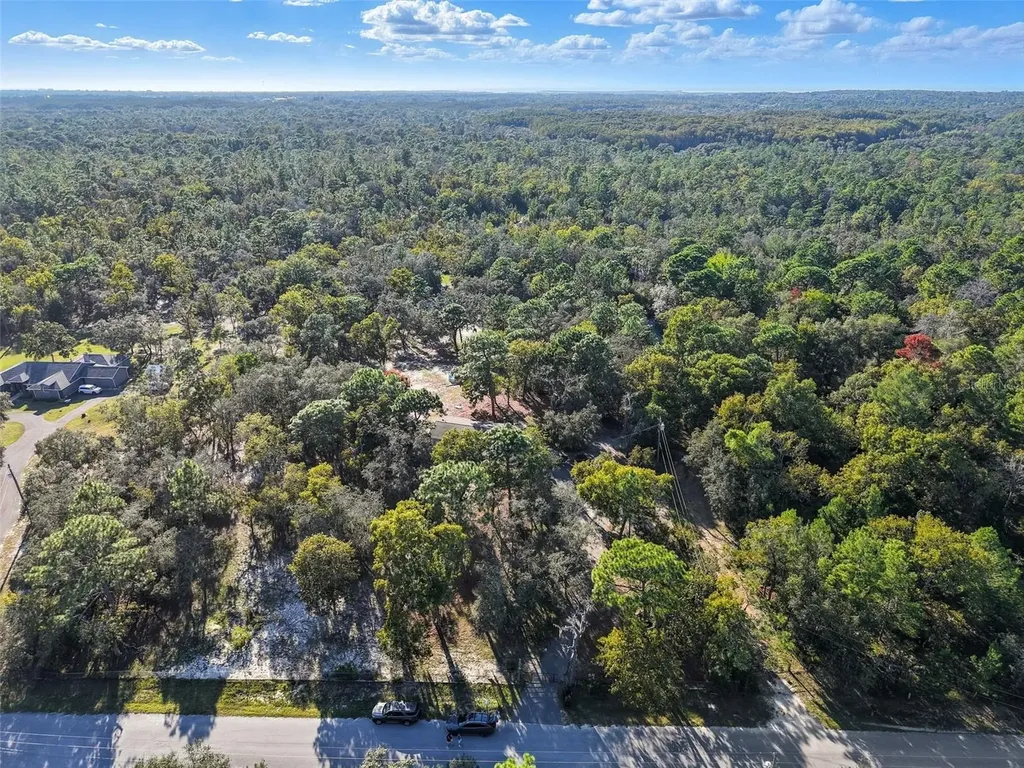 17539 Edwin Terrace Hudson FL 34667