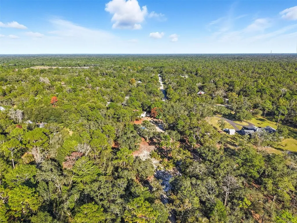 17539 Edwin Terrace Hudson FL 34667