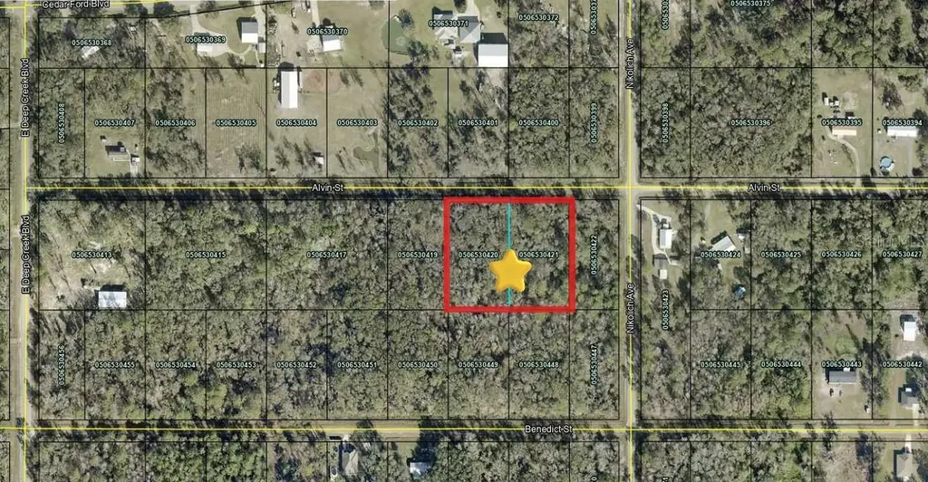 4725 & 4715 Alvin Street Hastings FL 32145