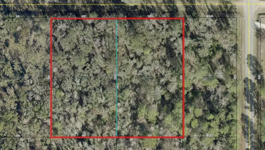 4725 & 4715 Alvin Street Hastings FL 32145