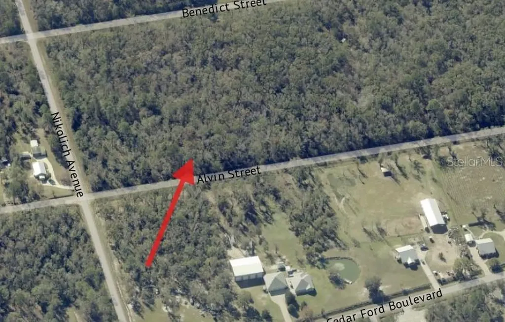 4725 & 4715 Alvin Street Hastings FL 32145