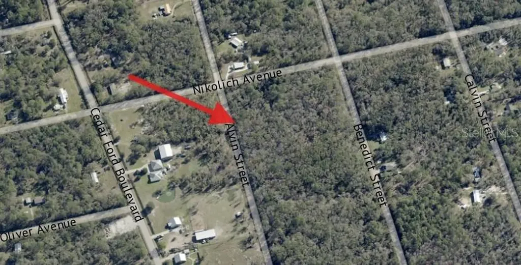 4725 & 4715 Alvin Street Hastings FL 32145