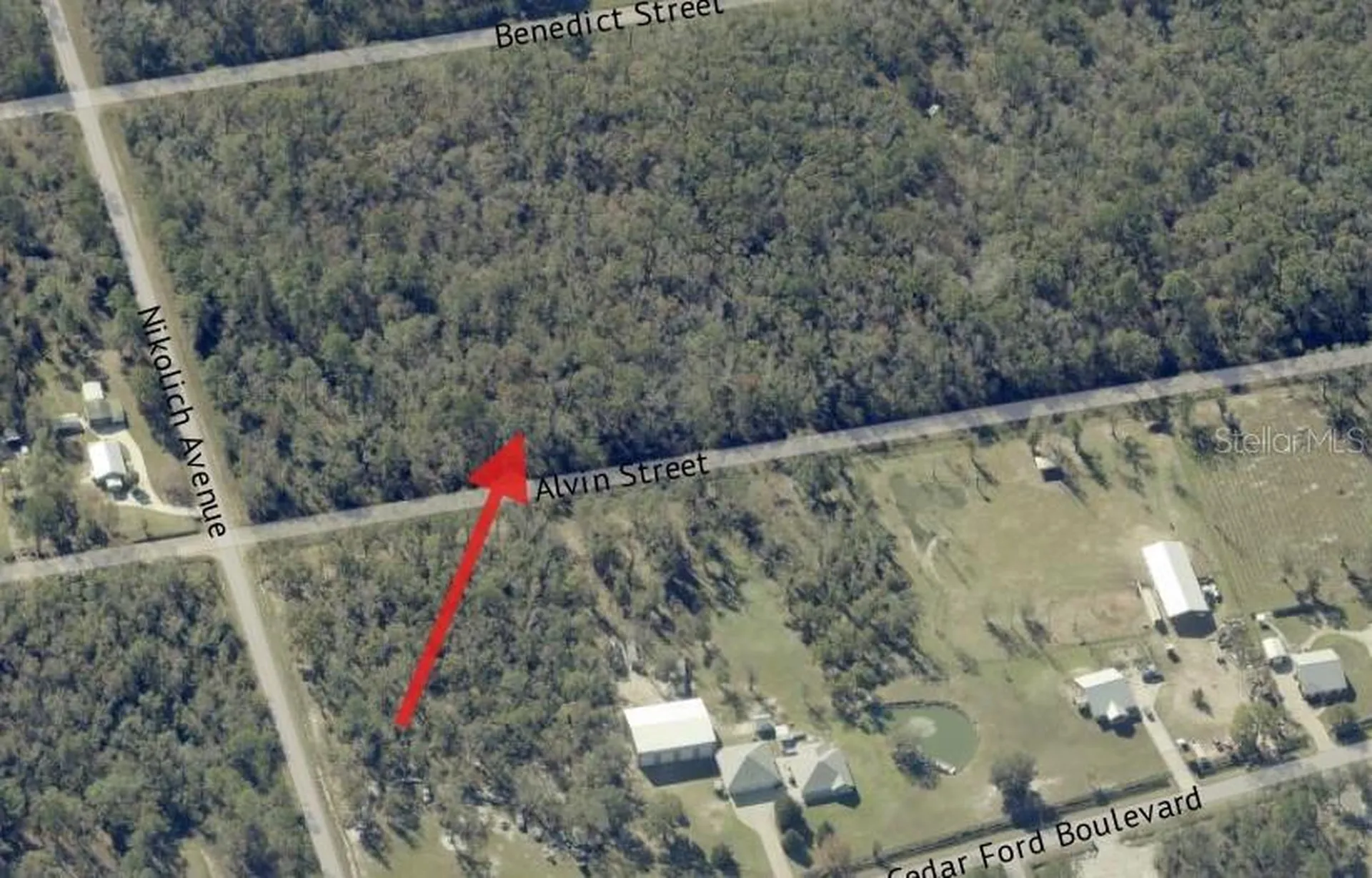 4725 & 4715 Alvin Street Hastings FL 32145