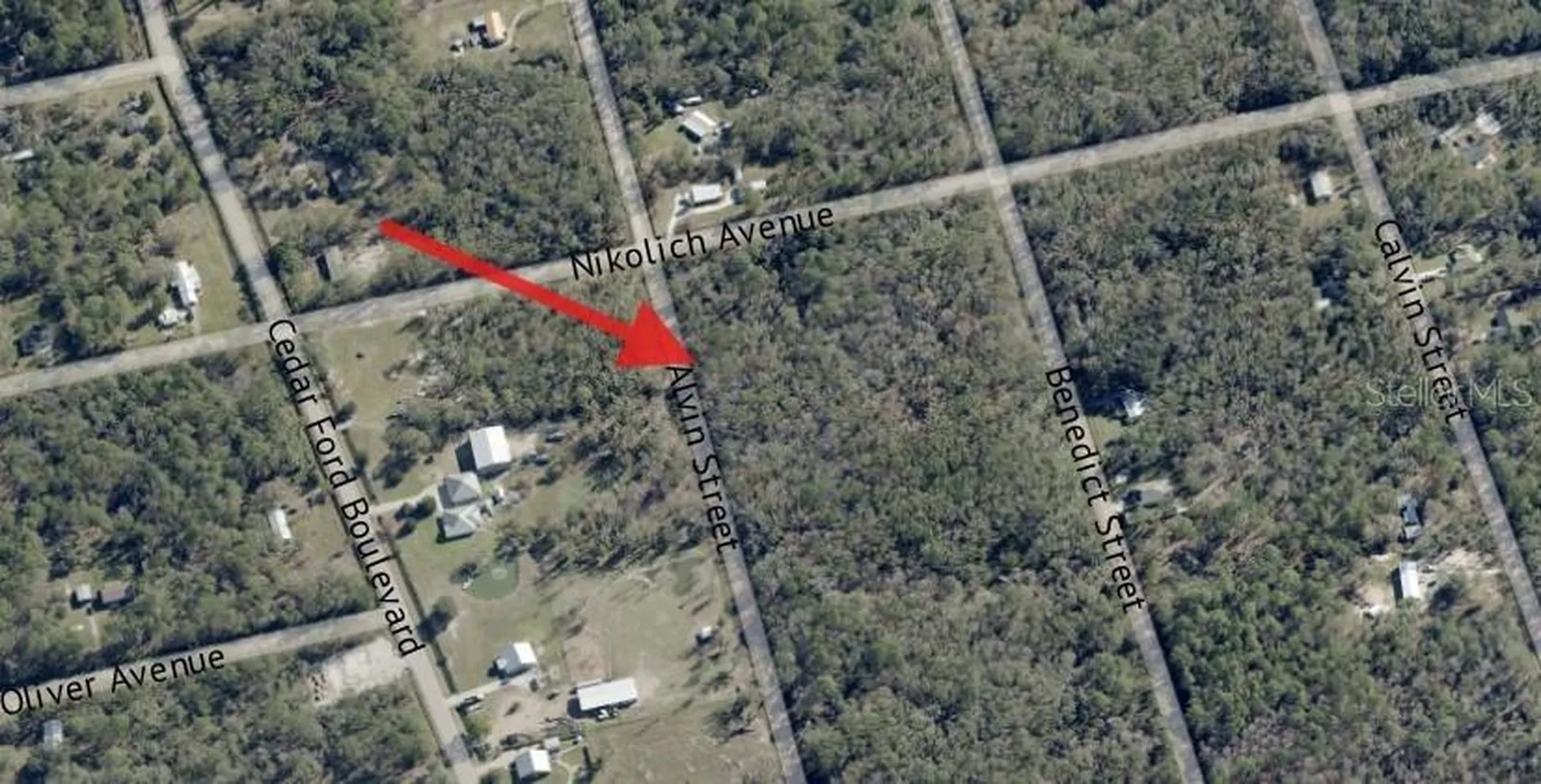4725 & 4715 Alvin Street Hastings FL 32145