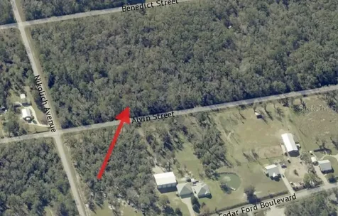 4725 & 4715 Alvin Street Hastings FL 32145
