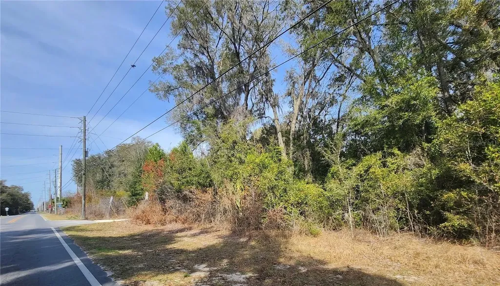 SE 36th Court Summerfield FL 34491