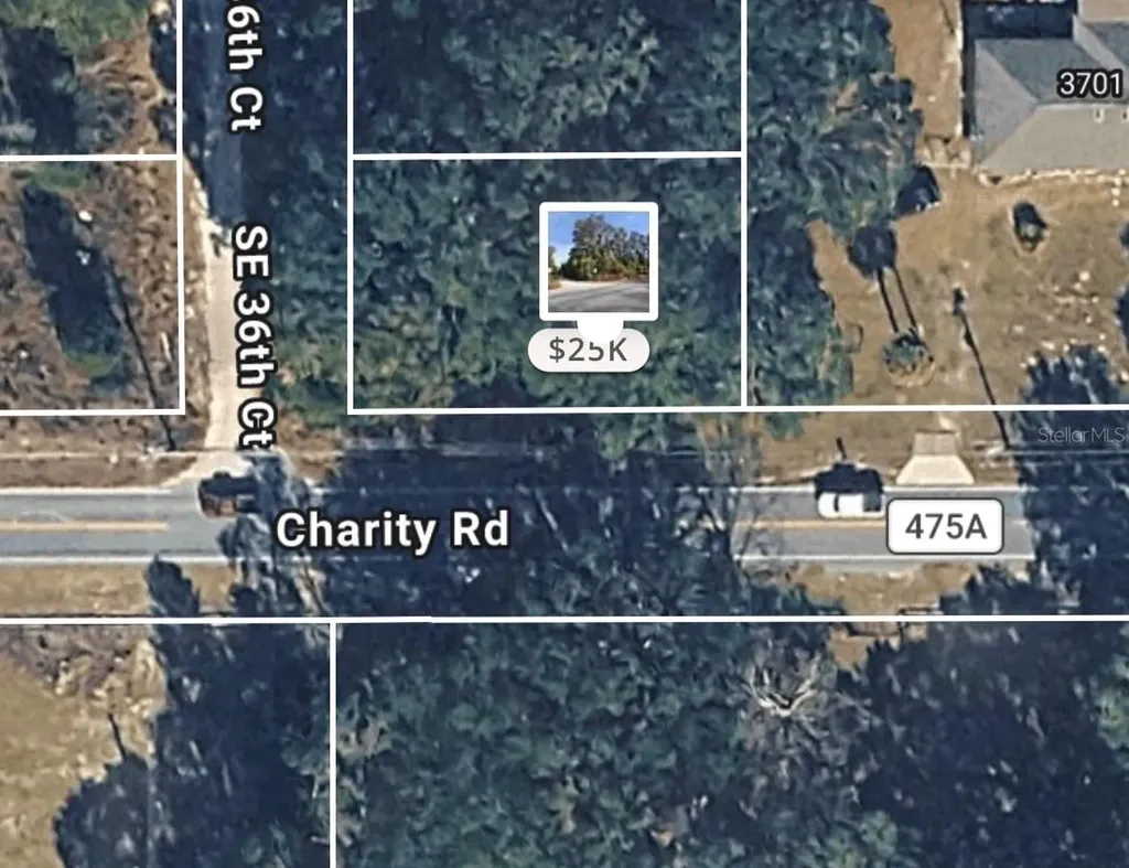 SE 36th Court Summerfield FL 34491