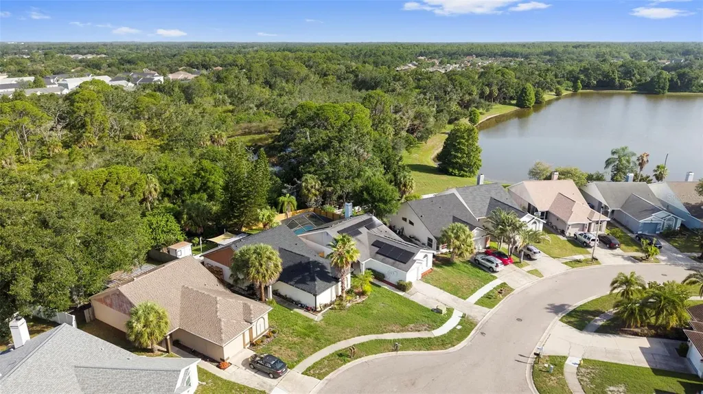 11651 Sunshine Pond Road Tampa FL 33635