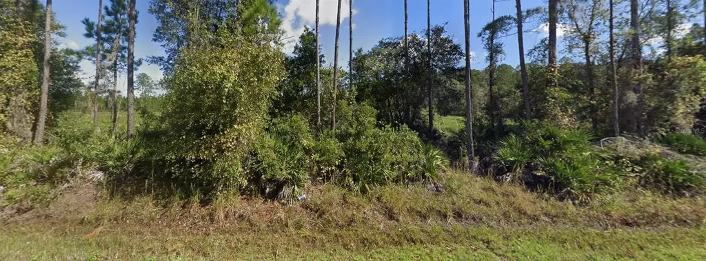 00 NE 64th Avenue Citra FL 32113