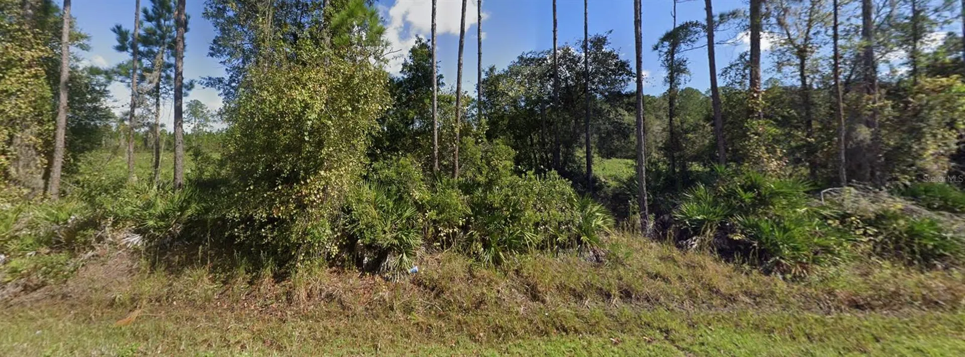 00 NE 64th Avenue Citra FL 32113
