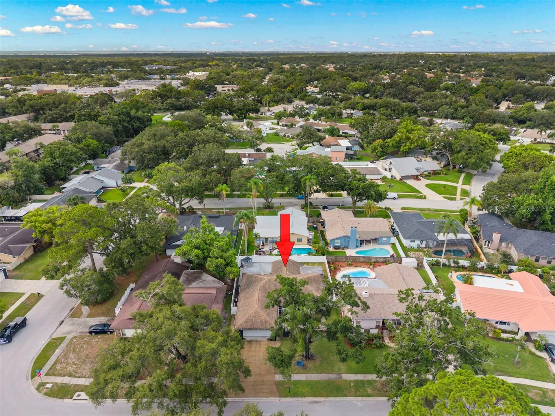 3097 Haverford Drive Clearwater FL 33761
