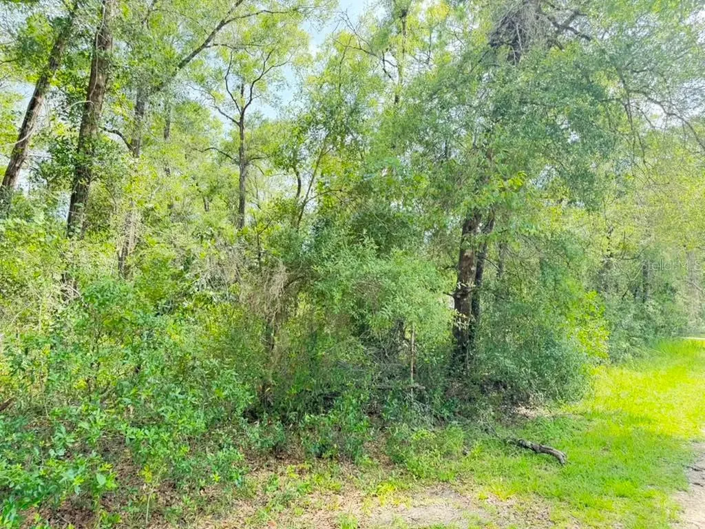3560 E Bellshire Place Inverness FL 34453