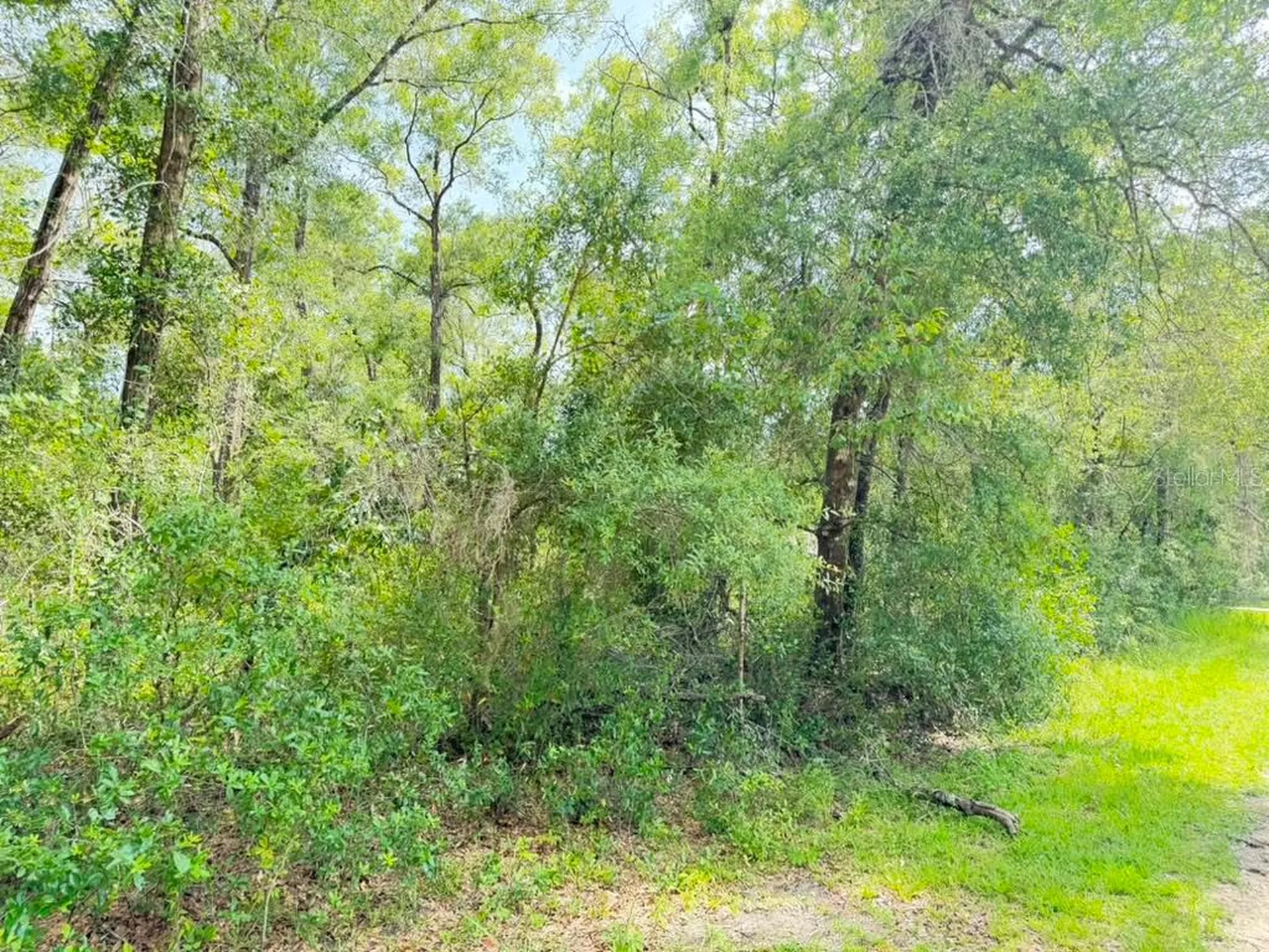 3560 E Bellshire Place Inverness FL 34453