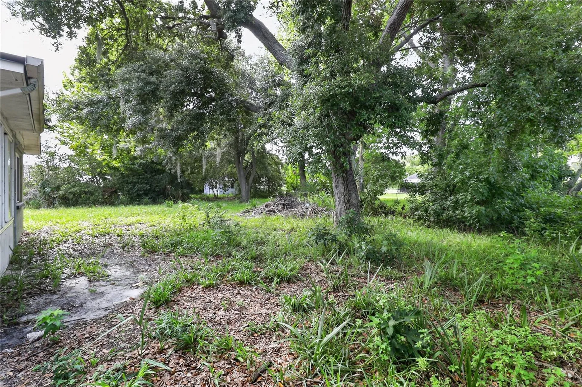7036 Ashwood Drive Port Richey FL 34668
