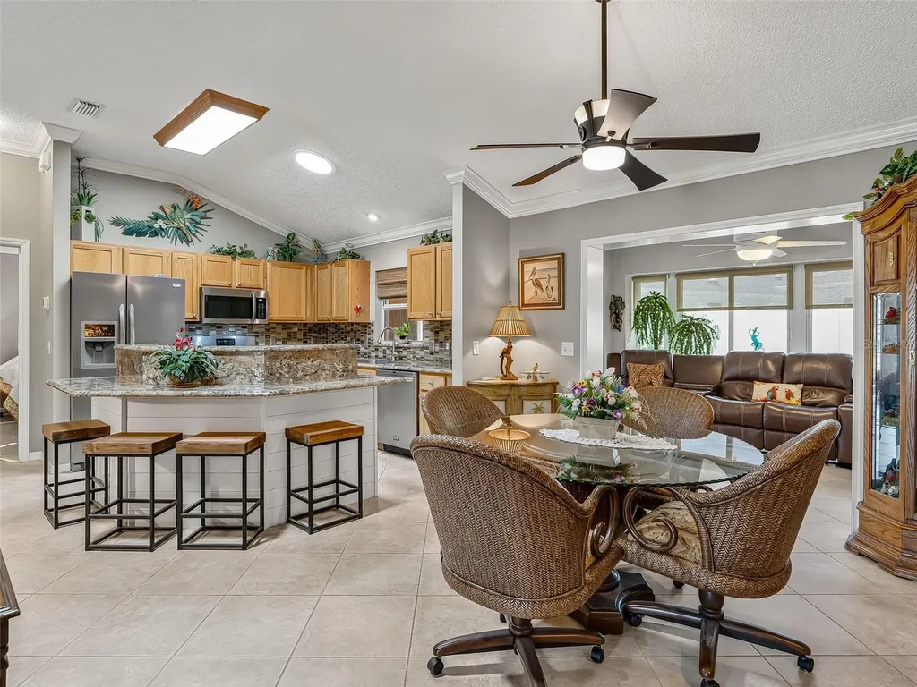 17770 SE 85th Ellerbe Avenue The Villages FL 32162