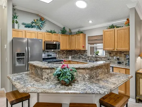 17770 SE 85th Ellerbe Avenue The Villages FL 32162