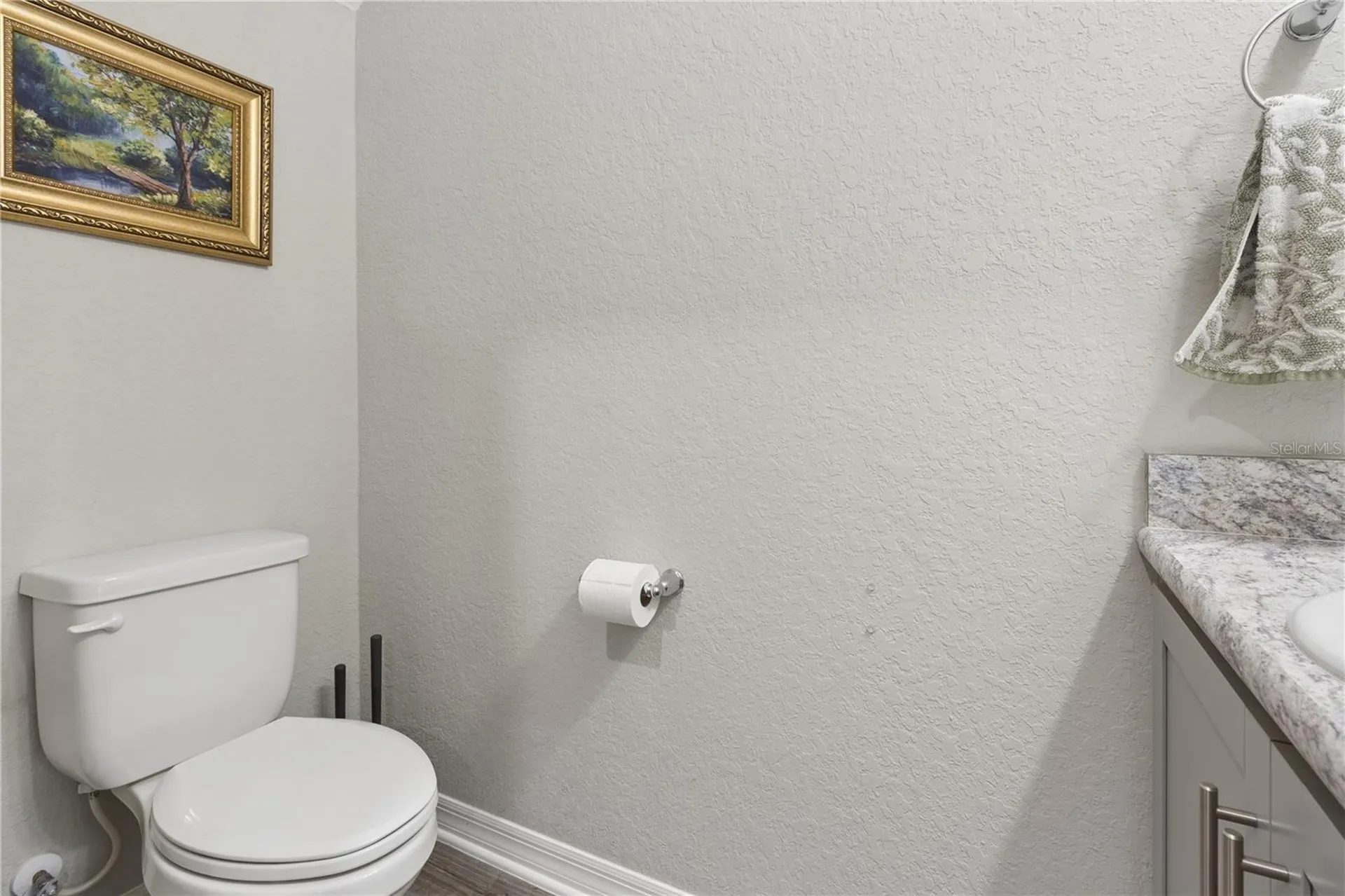 11759 Sabal Scrub Court Riverview FL 33579