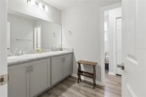 11759 Sabal Scrub Court Riverview FL 33579