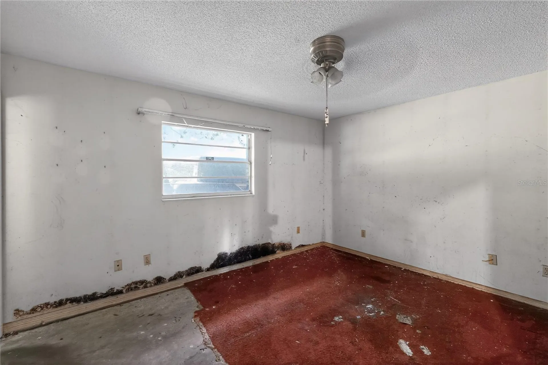 320 Lake Millsite Road Bartow FL 33830