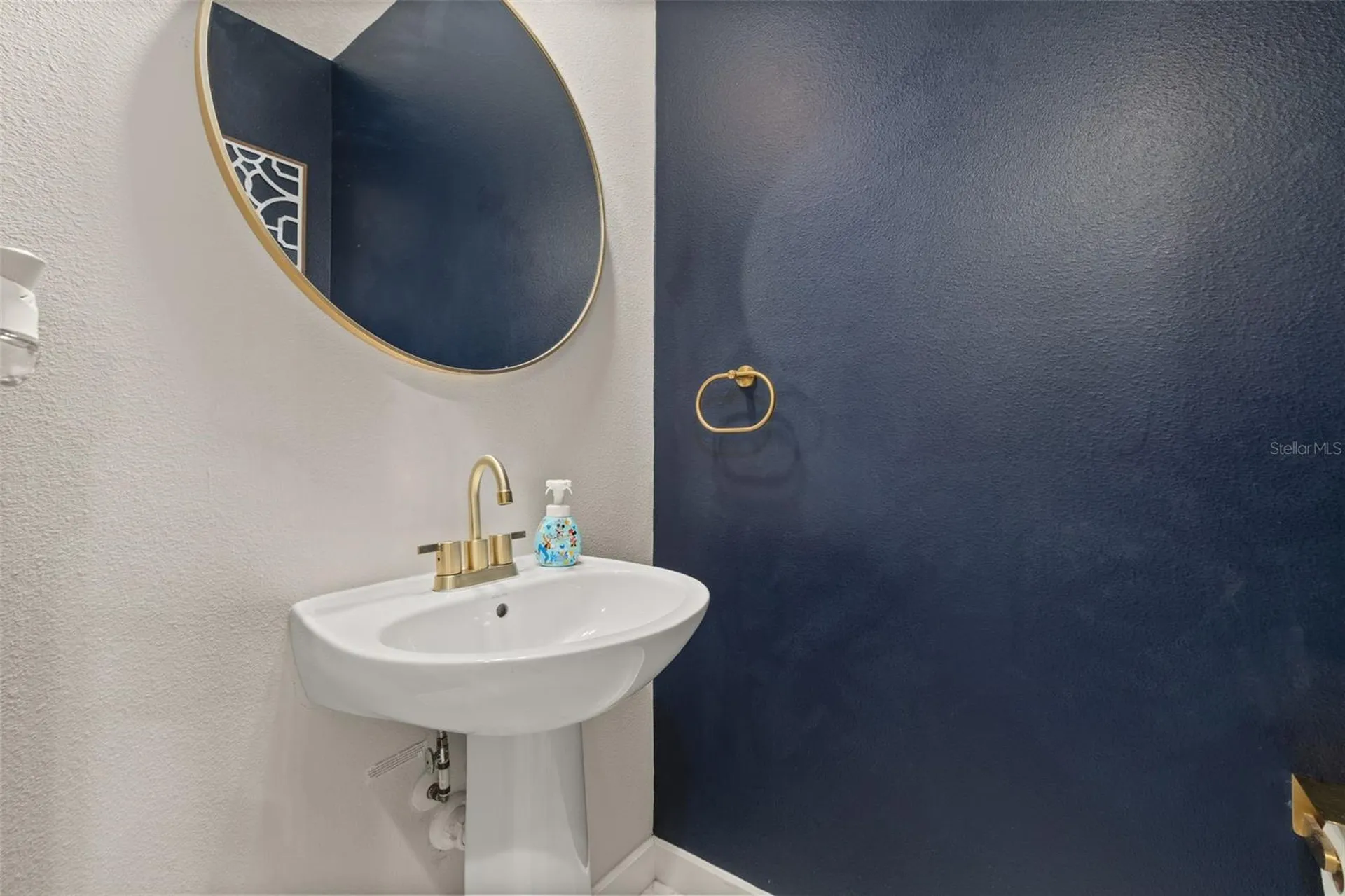 11193 Hanlon Terrace Alley Winter Garden FL 34787
