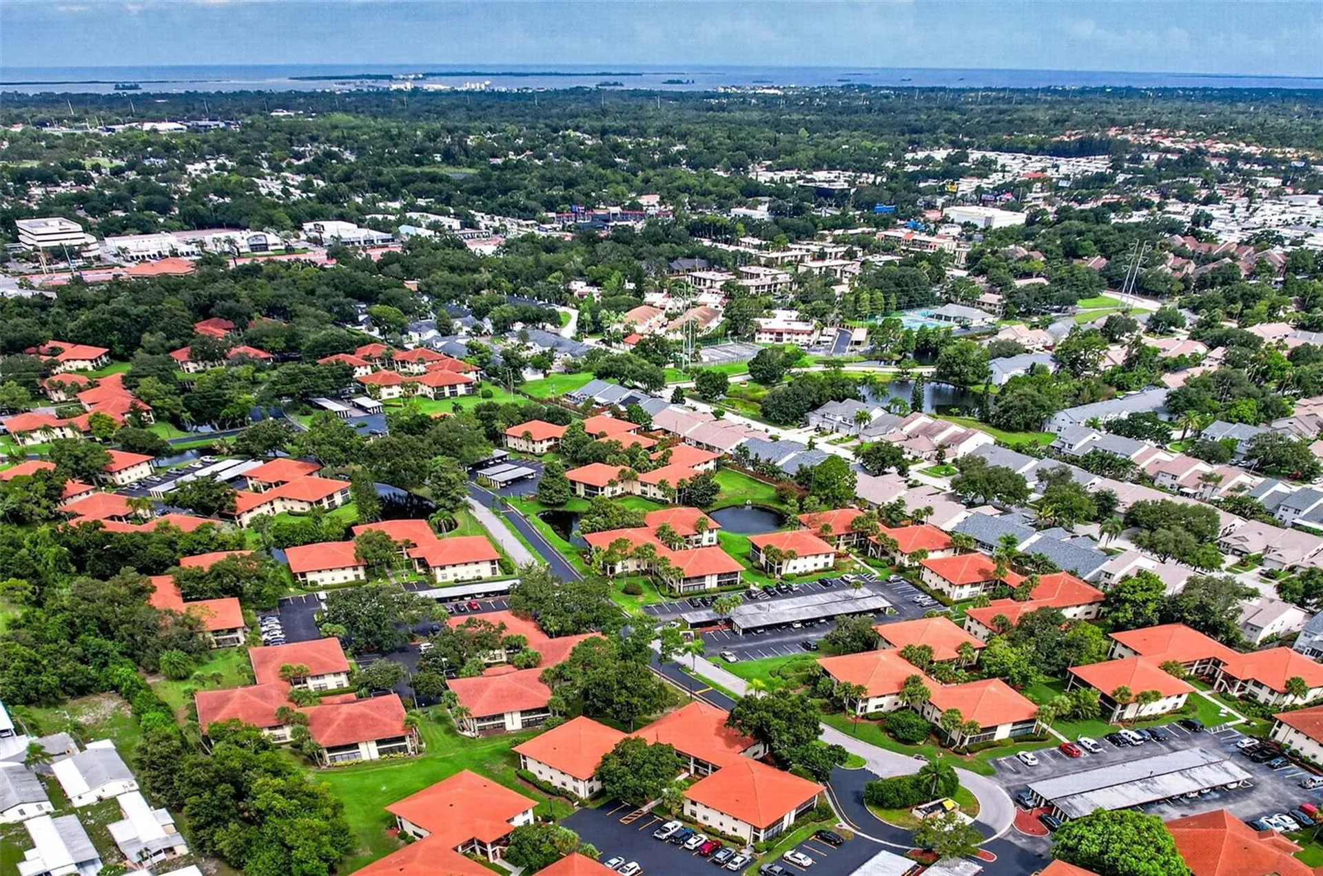 1709 Hammock Pine Boulevard Clearwater FL 33761