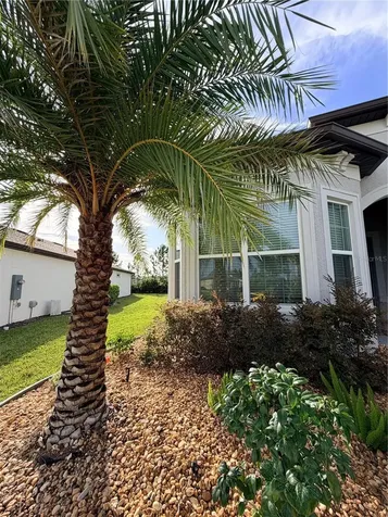 8975 SW 59th Lane Road Ocala FL 34481