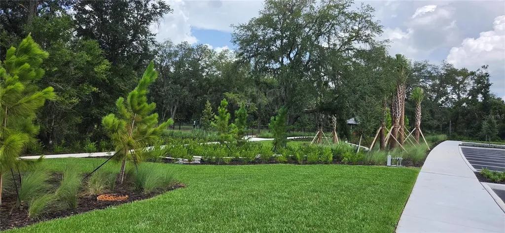 36645 Sagemoor Drive Zephyrhills FL 33541