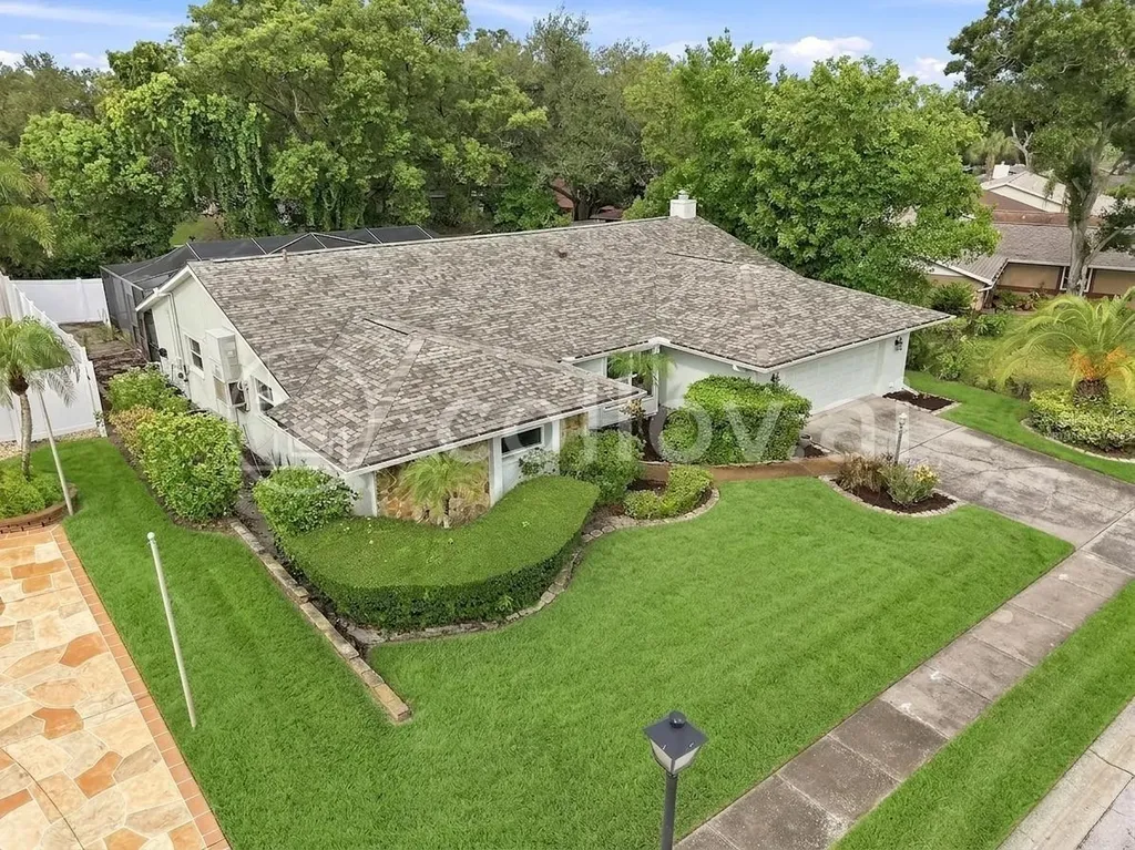 1071 Persimmon Drive Palm Harbor FL 34683
