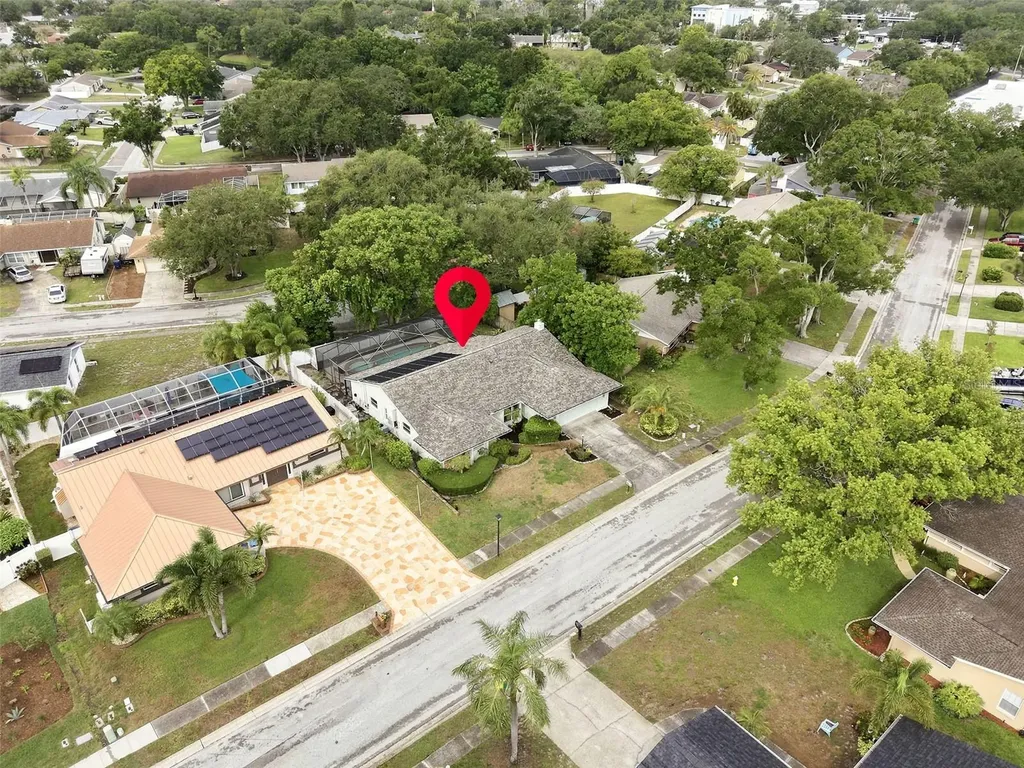 1071 Persimmon Drive Palm Harbor FL 34683