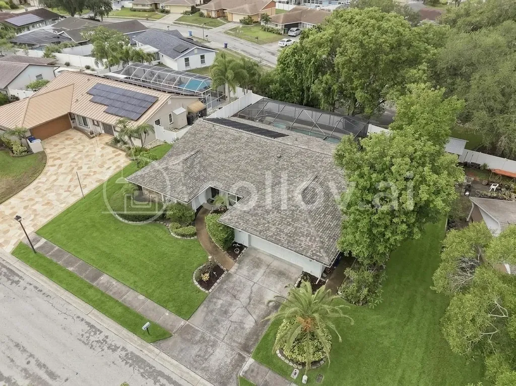 1071 Persimmon Drive Palm Harbor FL 34683