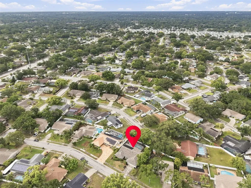 1071 Persimmon Drive Palm Harbor FL 34683