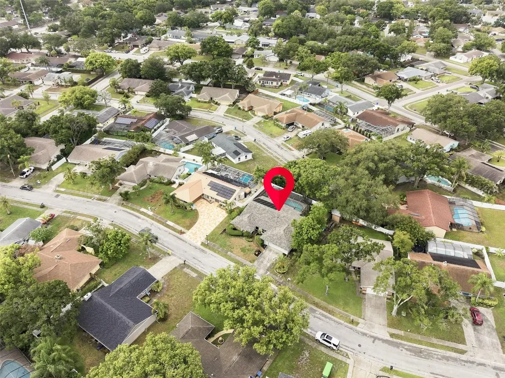 1071 Persimmon Drive Palm Harbor FL 34683