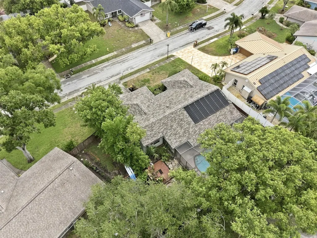 1071 Persimmon Drive Palm Harbor FL 34683