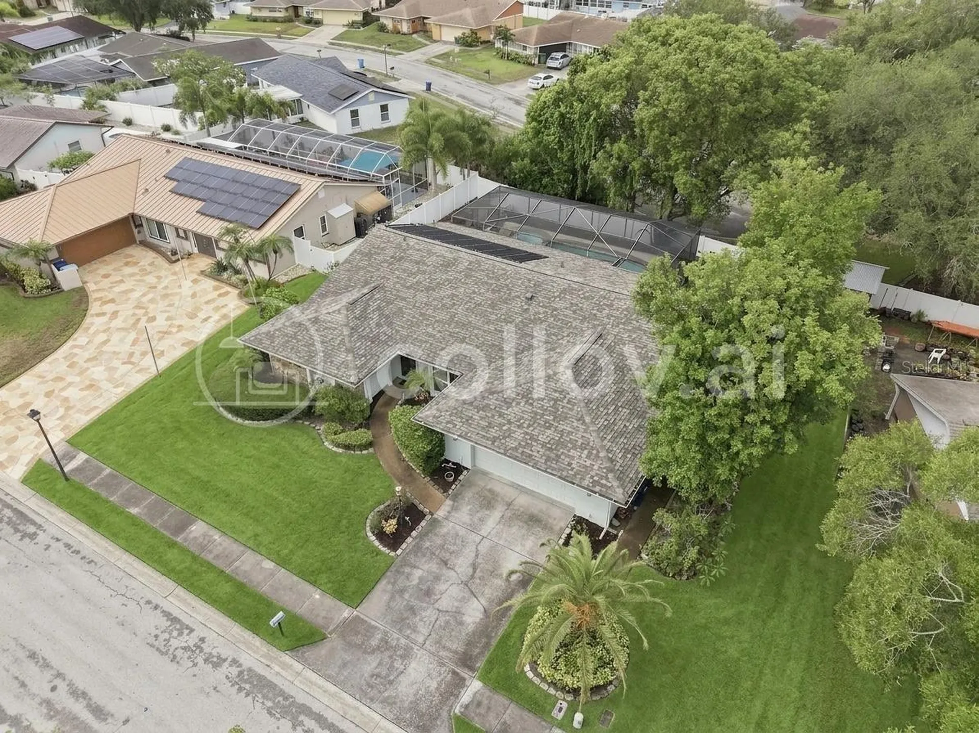 1071 Persimmon Drive Palm Harbor FL 34683