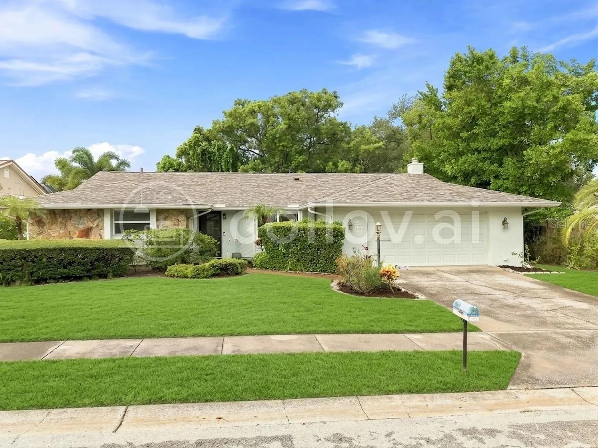 1071 Persimmon Drive Palm Harbor FL 34683