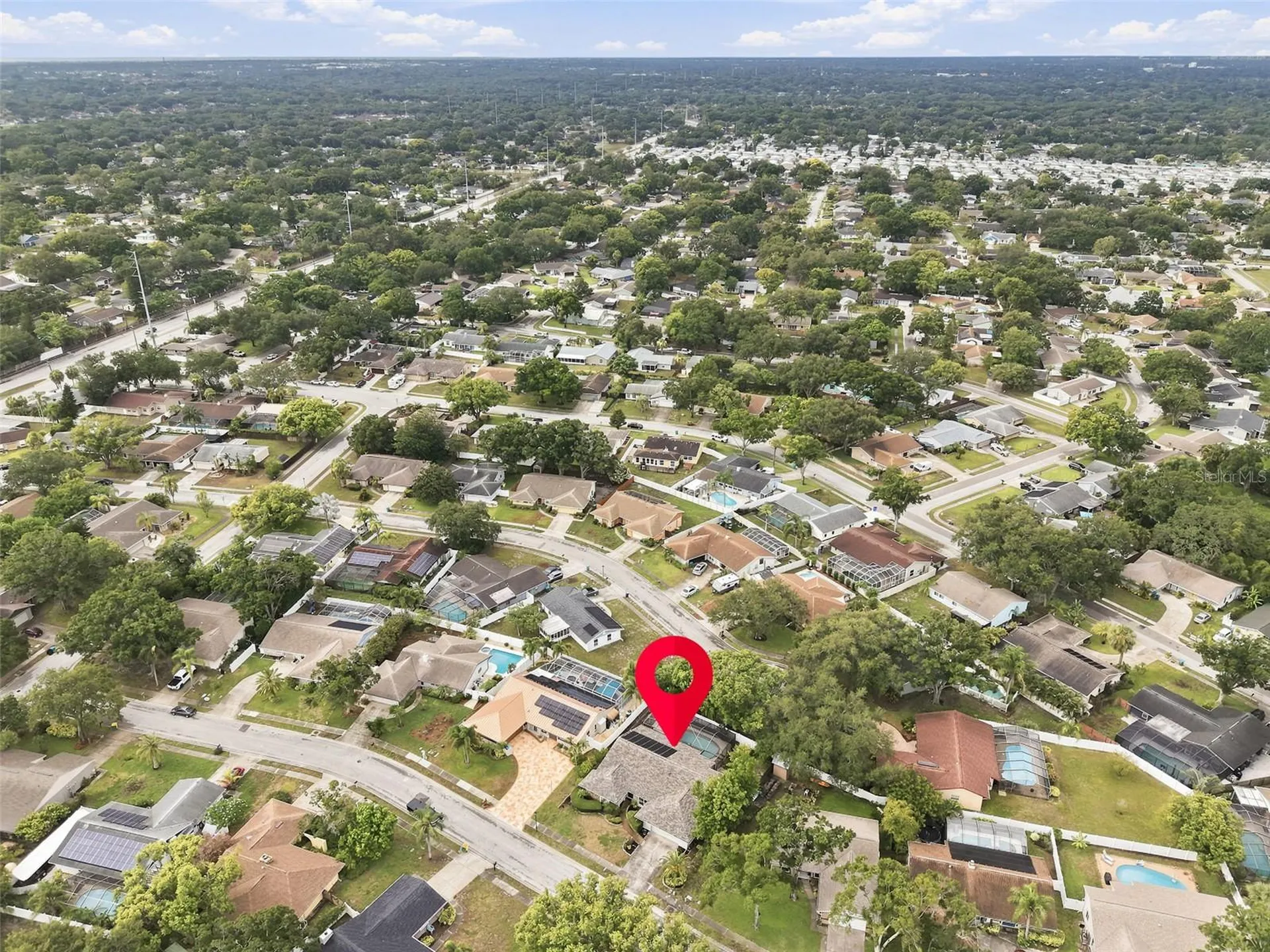 1071 Persimmon Drive Palm Harbor FL 34683