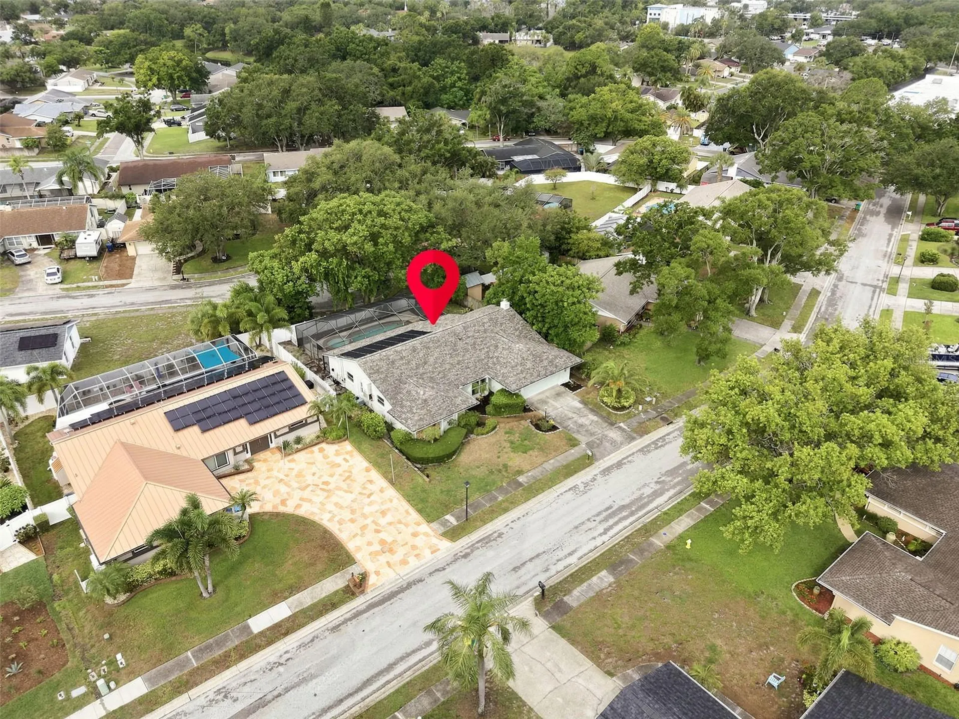1071 Persimmon Drive Palm Harbor FL 34683