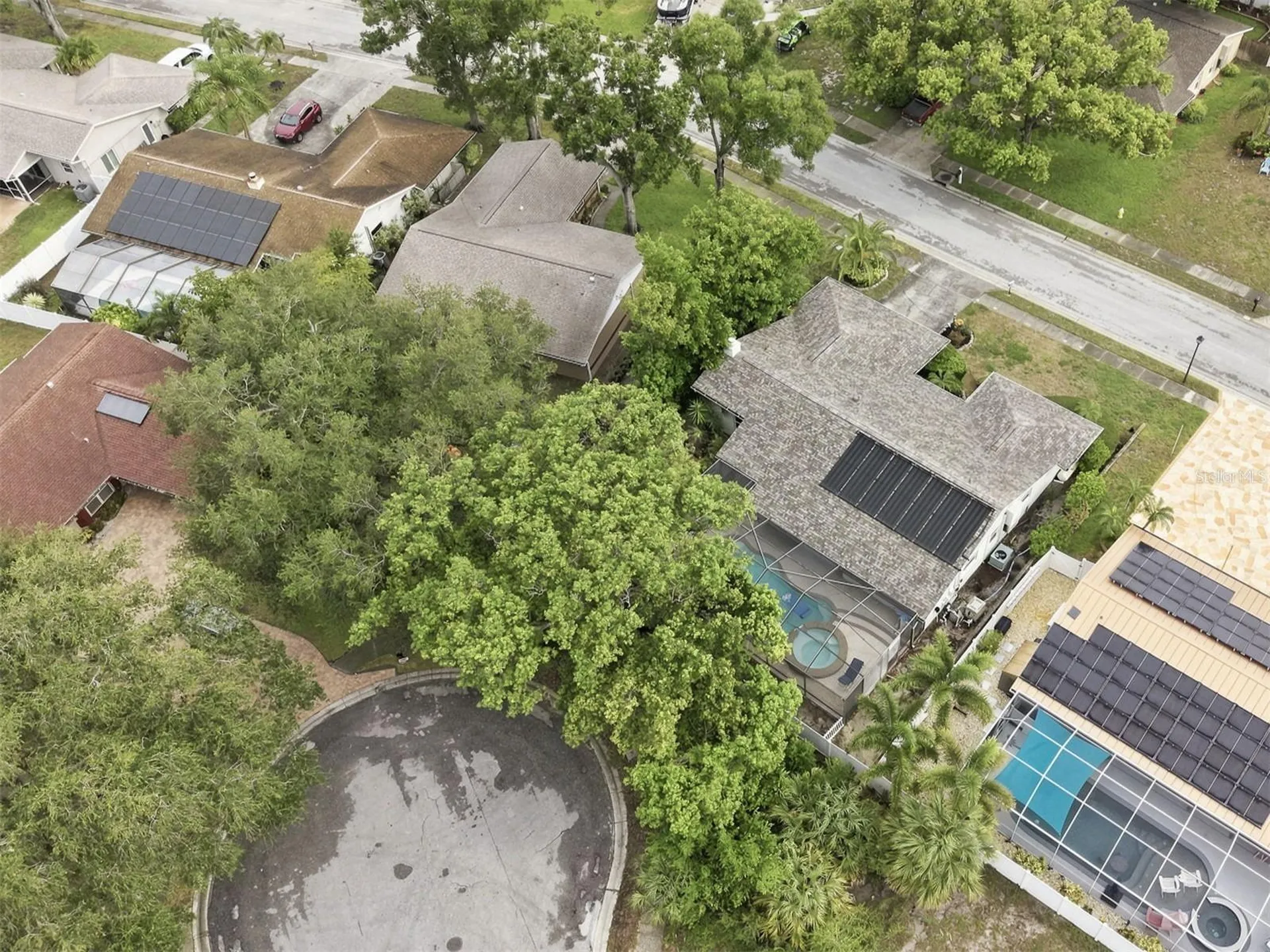 1071 Persimmon Drive Palm Harbor FL 34683