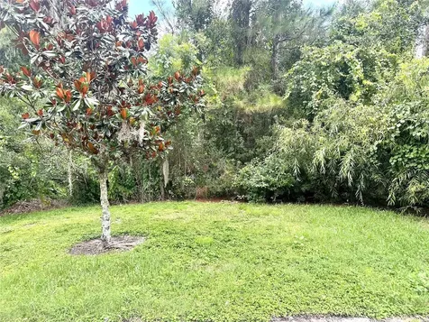 11773 Bella Milano Court Windermere FL 34786