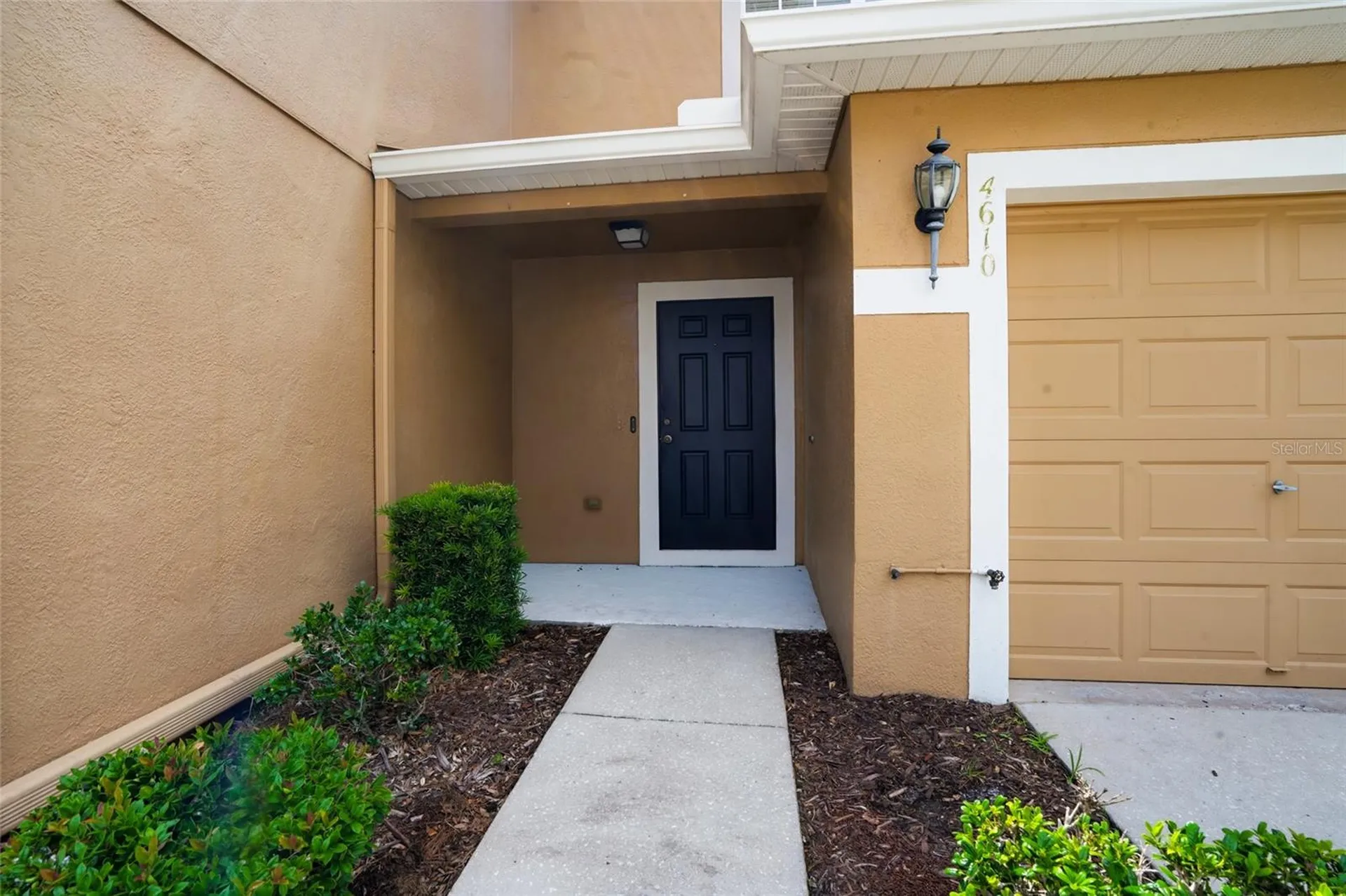4610 Winding River Way Land O Lakes FL 34639