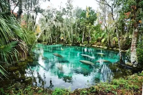 11108 W Thoreau Place Crystal River FL 34428