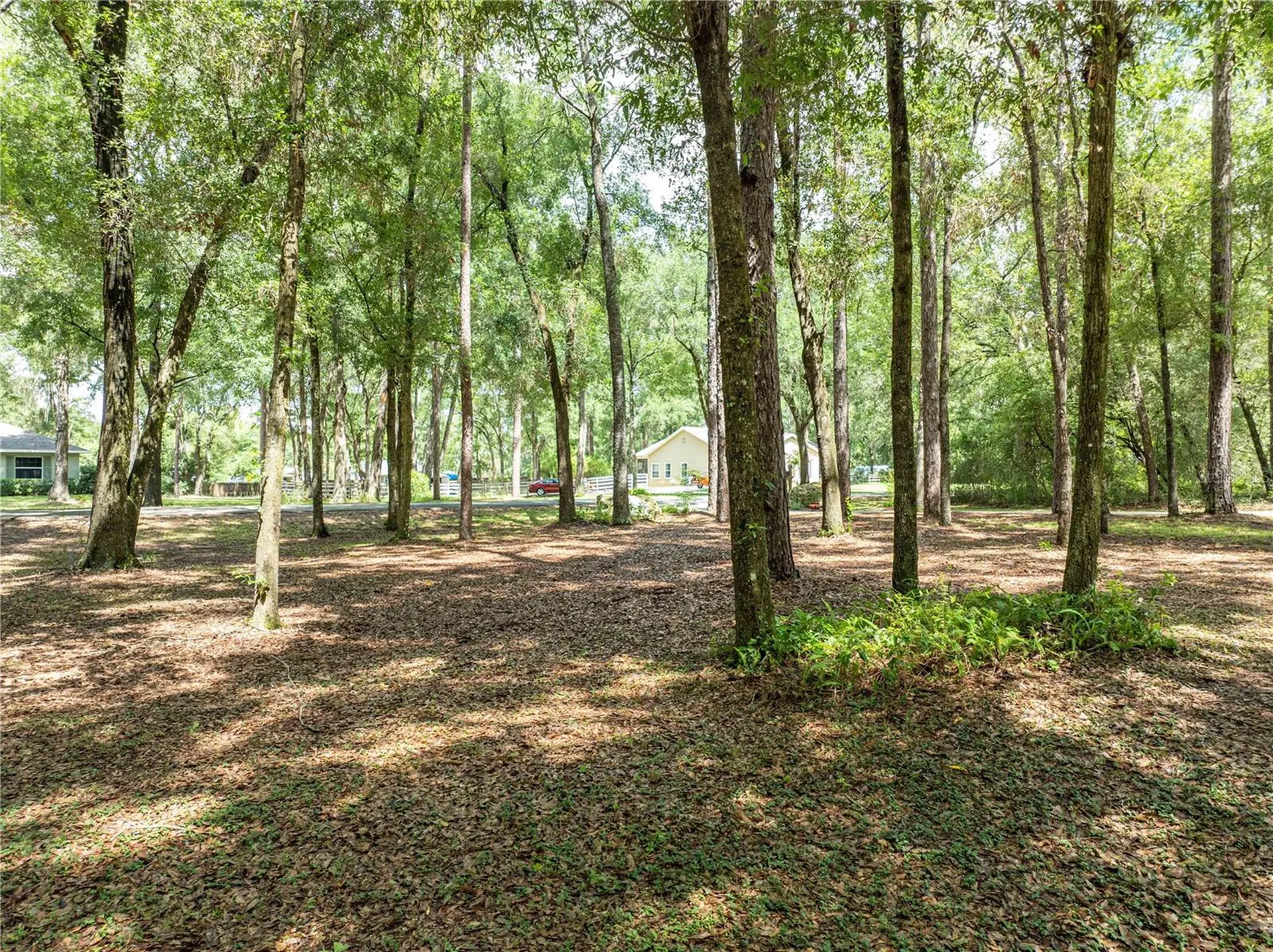 9819 SW 90th Street Gainesville FL 32608