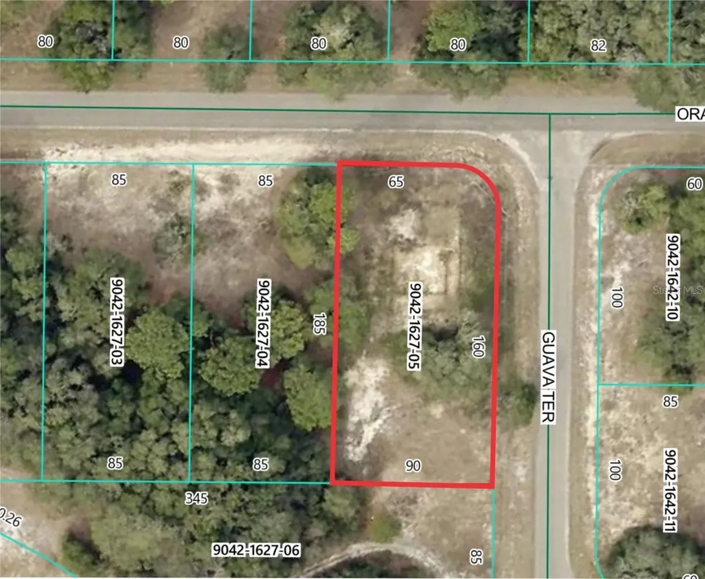 11745 Orange Road Ocklawaha FL 32179