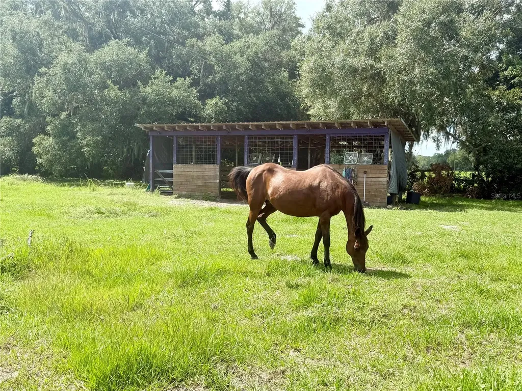 7589 Cr 763 Bushnell FL 33513