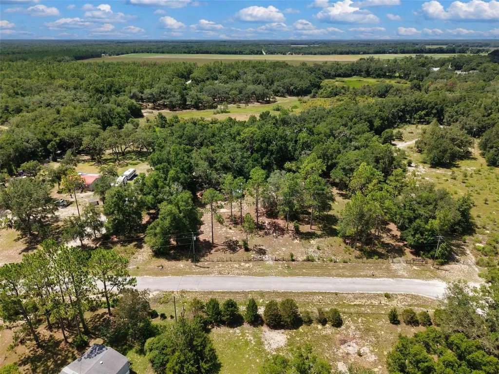 54 NE 841st Avenue Old Town FL 32680