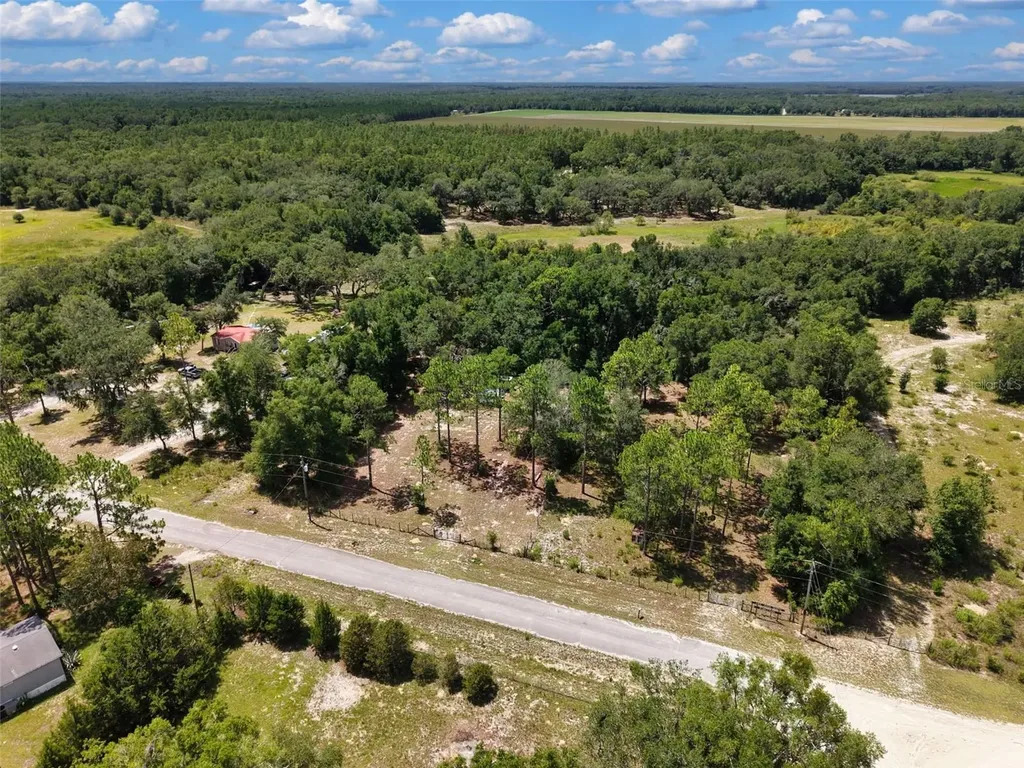 54 NE 841st Avenue Old Town FL 32680