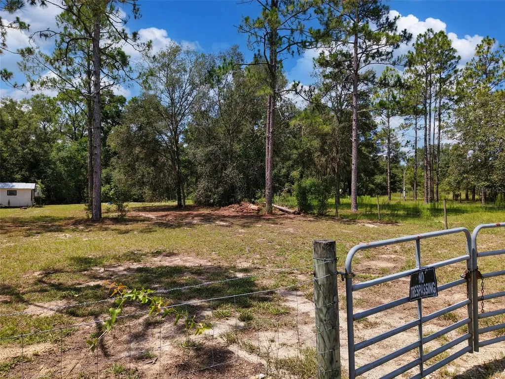 54 NE 841st Avenue Old Town FL 32680
