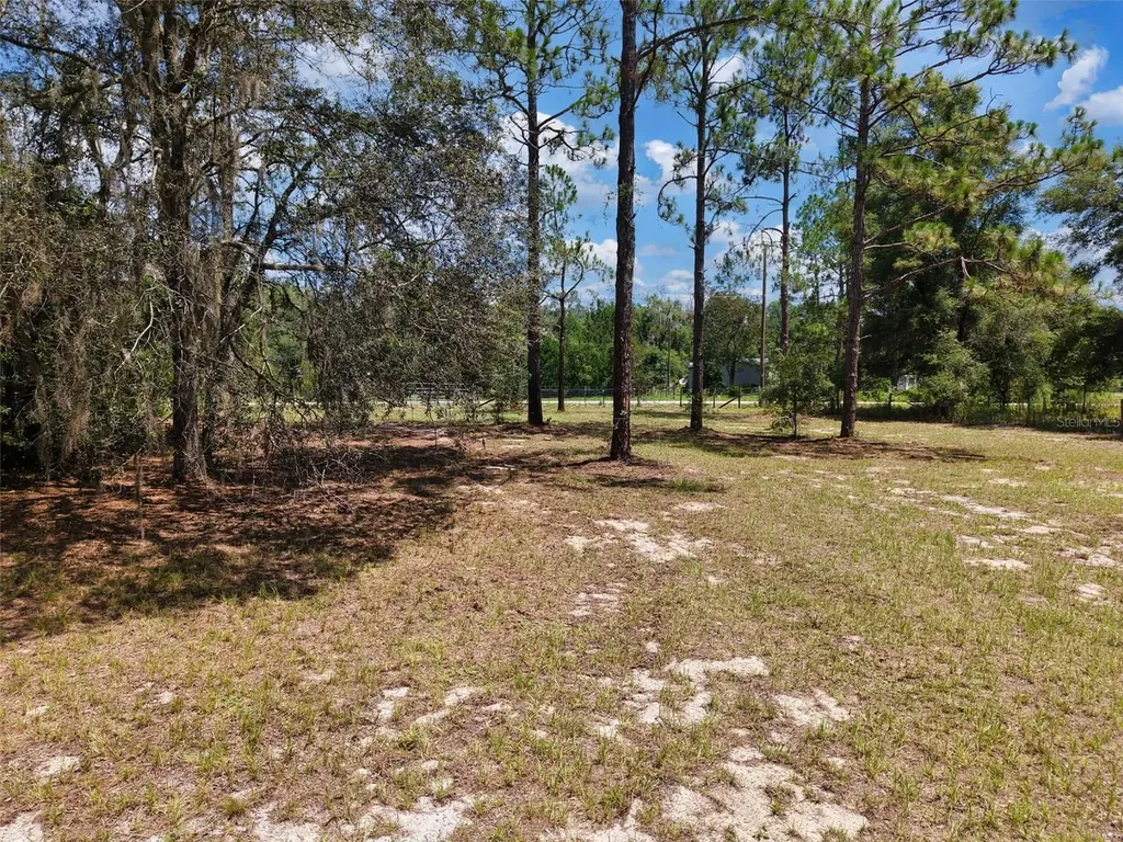 54 NE 841st Avenue Old Town FL 32680