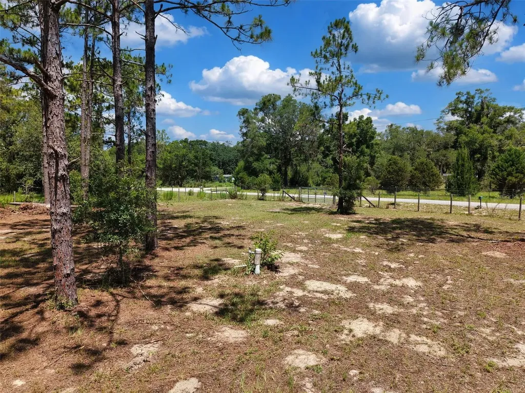54 NE 841st Avenue Old Town FL 32680