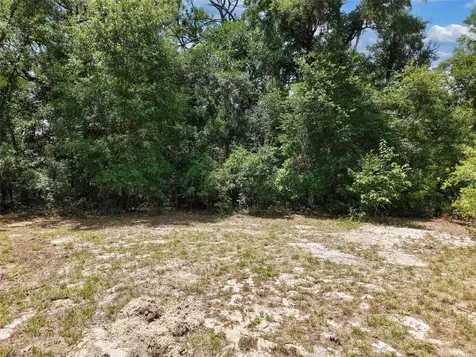54 NE 841st Avenue Old Town FL 32680